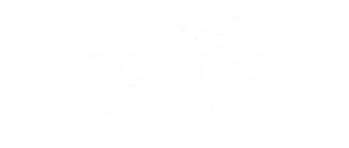 Aquila ERP
